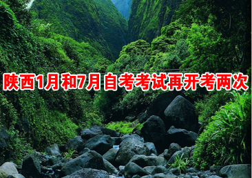 �Կ��ܿ���237��