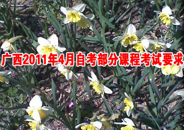 �Կ��ܿ���260��