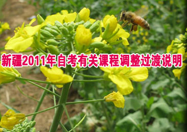 �Կ��ܿ���261��