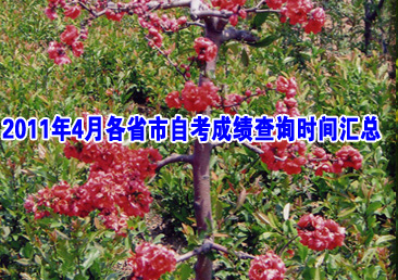 �Կ��ܿ���262��