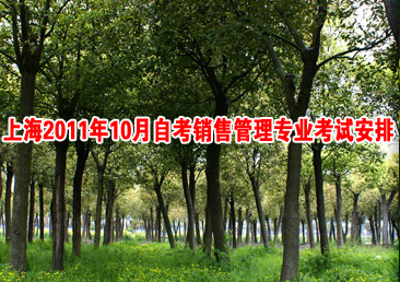 �Կ��ܿ���265��