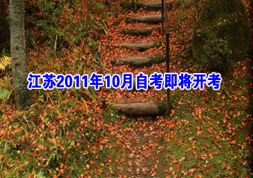 �Կ��ܿ���286��