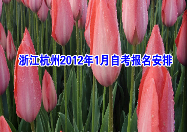 �Կ��ܿ���290��