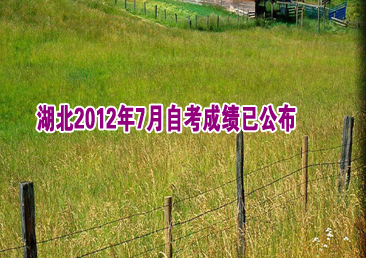 �Կ��ܿ���325��