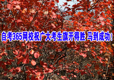 �Կ��ܿ���335��