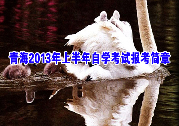 �Կ��ܿ���353��