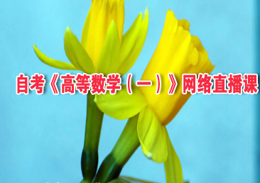 �Կ��ܿ���375��