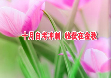 �Կ��ܿ���376��