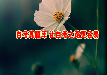 �Կ��ܿ���384��