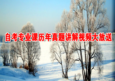 �Կ��ܿ���386��