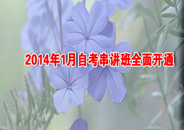 �Կ��ܿ���390��