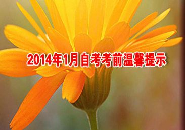 �Կ��ܿ���392��