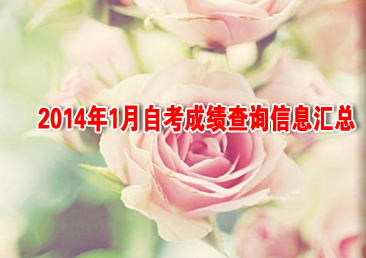 �Կ��ܿ���393��