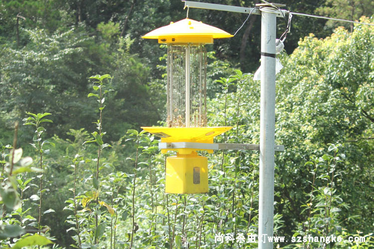 高壓電擊殺蟲燈接220V交流電殺蟲燈效果 高壓電擊殺蟲燈接220V交流電殺蟲燈效果