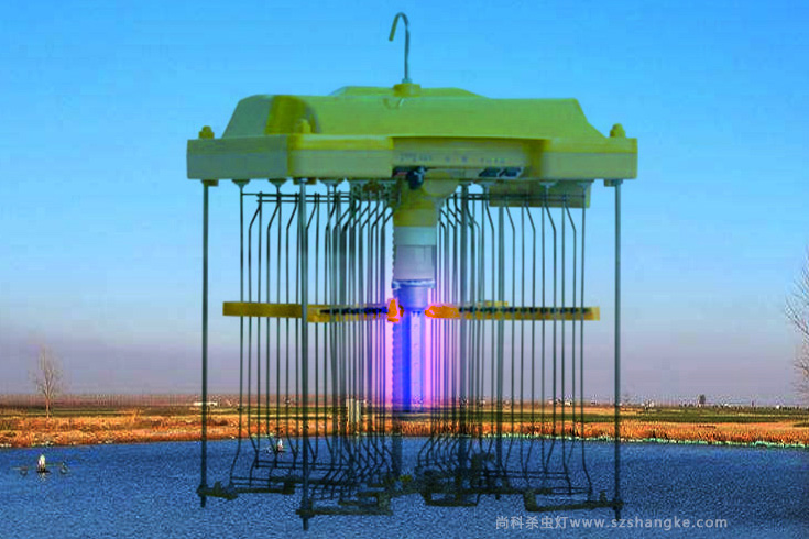 魚塘要用殺蟲燈嗎？魚塘誘蟲燈有什么作用？