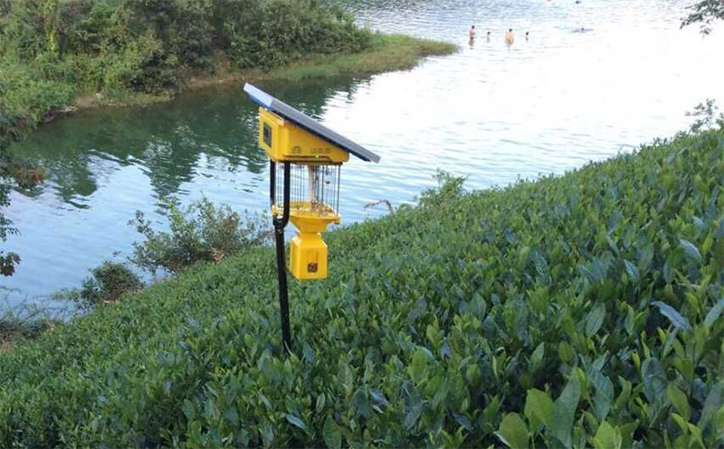 電擊式太陽(yáng)能殺蟲(chóng)燈茶園物理除蟲(chóng)效果好