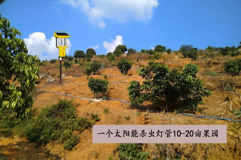 山地果園用太陽能殺蟲燈優勢效益分析