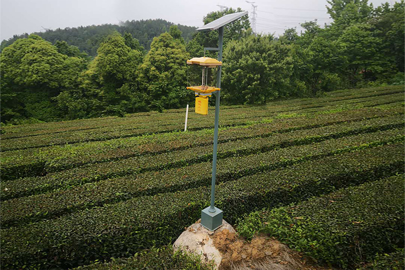 為什么太陽(yáng)能殺蟲(chóng)燈用的少？四個(gè)方面原因