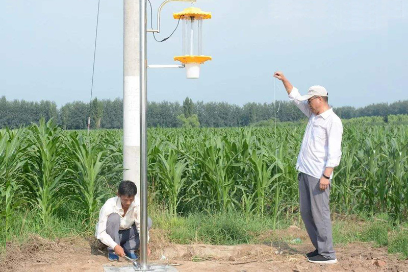 太陽(yáng)能夜蛾殺蟲(chóng)燈專治各種農(nóng)業(yè)蛾類害蟲(chóng)