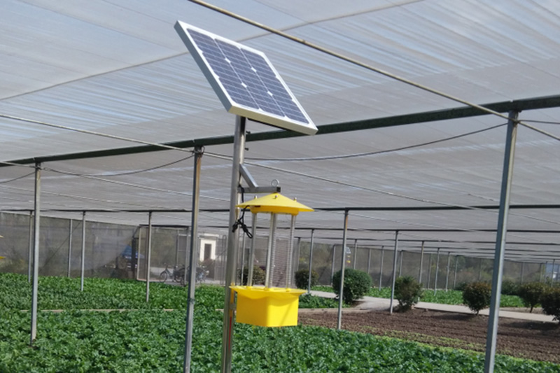 溫室大棚殺蟲(chóng)燈如何使用效果更好