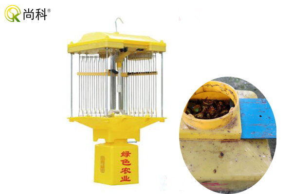 自動清蟲殺蟲燈用于養(yǎng)殖業(yè)作用大