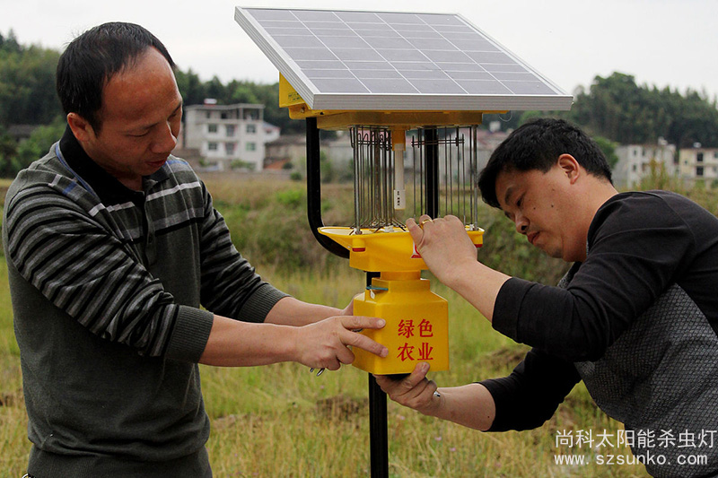 一體式太陽能殺蟲燈安裝現(xiàn)場(chǎng)圖片