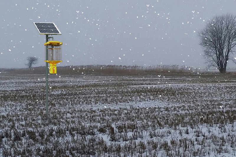 太陽能殺蟲燈冬季要做好回收管理工作