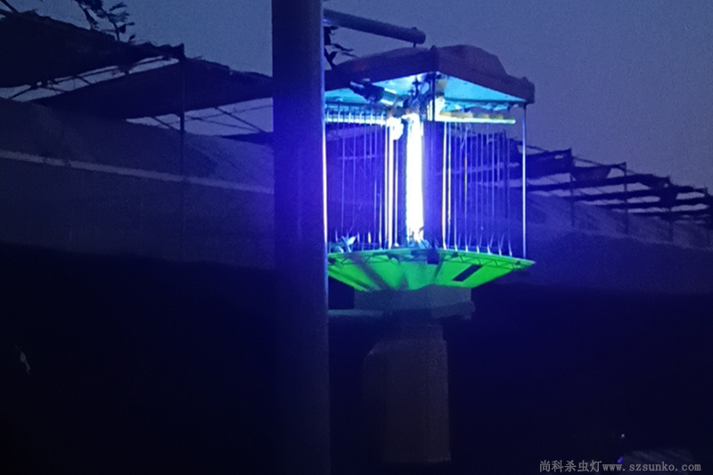 燈誘昆蟲用什么燈？誘蟲殺蟲燈原理