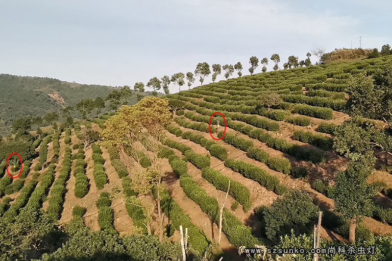 太陽能殺蟲燈有定位嗎 太陽能殺蟲燈有定位嗎
