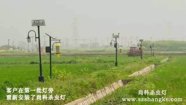 太陽能殺蟲燈哪家好？客戶用尚科殺蟲燈圖