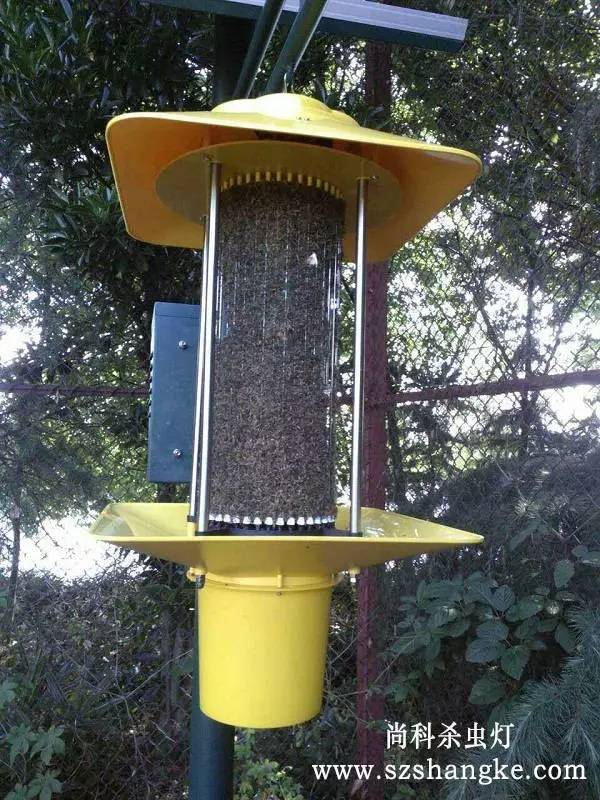 尚科太陽能殺蟲燈殺蟲效果實拍