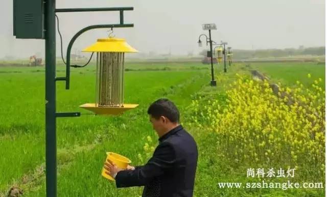 用戶在檢查尚科太陽能殺蟲燈集蟲盒