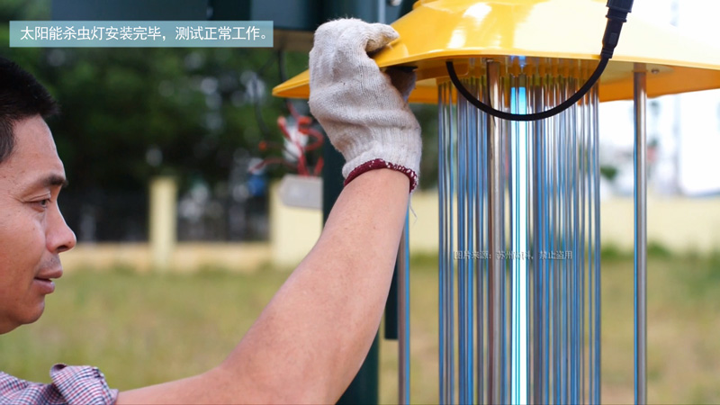 高桿太陽能殺蟲燈安裝后測試亮燈