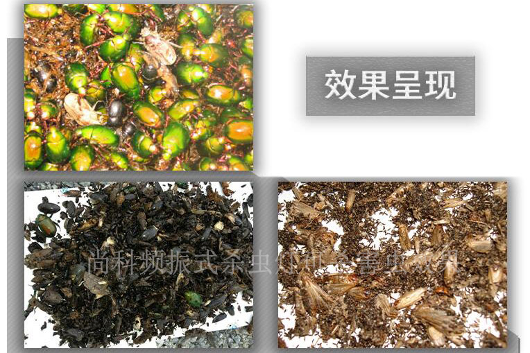 頻振式殺蟲燈誘殺害蟲實際效果 頻振式殺蟲燈誘殺害蟲實際效果