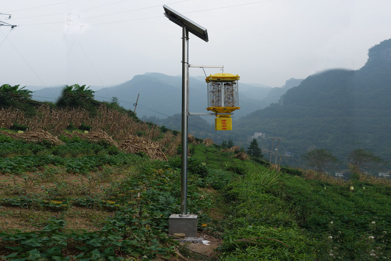 湖北恩施鶴峰太陽能殺蟲燈應用實拍圖片 湖北恩施鶴峰太陽能殺蟲燈應用實拍圖片