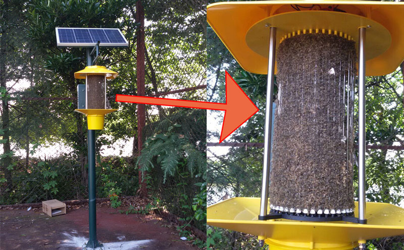 太陽能電擊式殺蟲燈TFX50殺蟲效果 太陽能電擊式殺蟲燈TFX50殺蟲效果