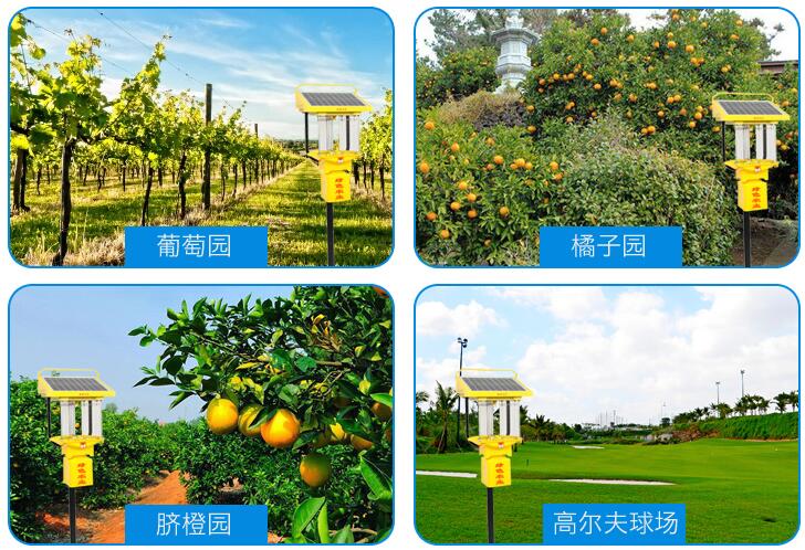 太陽(yáng)能電擊式殺蟲(chóng)燈TFS15應(yīng)用效果 太陽(yáng)能電擊式殺蟲(chóng)燈TFS15應(yīng)用效果