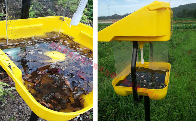 農(nóng)用殺蟲燈有用嗎？果園用戶反饋殺蟲燈效果