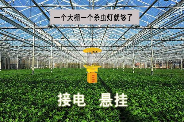生態(tài)農(nóng)業(yè)用自動(dòng)殺蟲燈