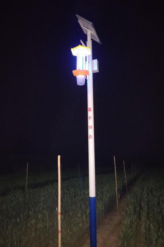 陜西柿園TFX50果園太陽(yáng)能殺蟲燈夜間工作效果圖