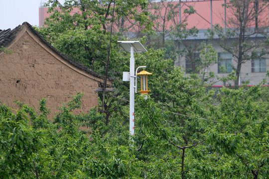 陜西柿園TFX50果園太陽(yáng)能殺蟲燈效果圖