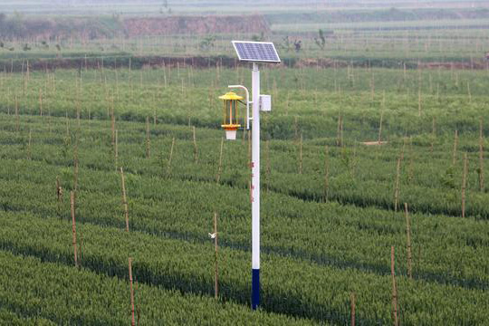 陜西柿園TFX50果園太陽(yáng)能殺蟲燈效果圖