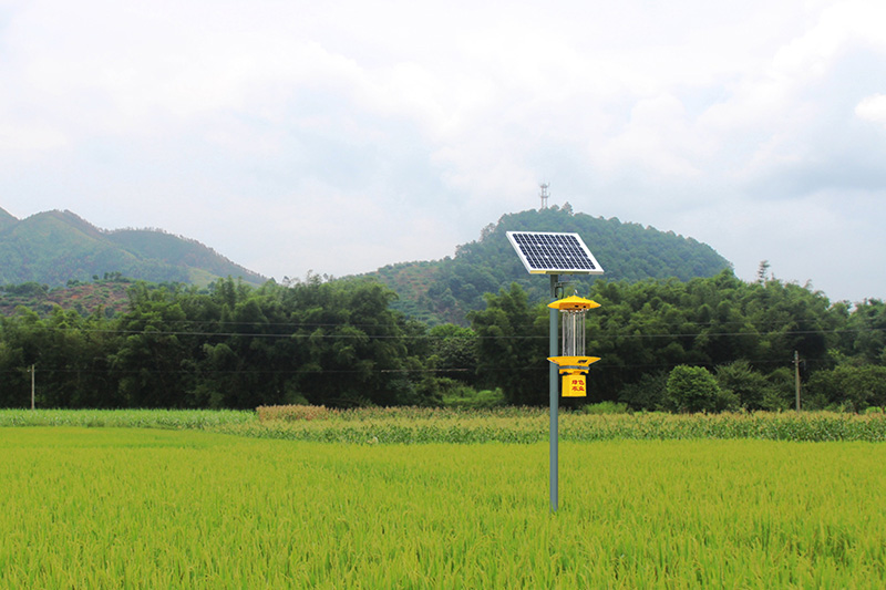 農(nóng)業(yè)智慧太陽(yáng)能殺蟲燈tfx50案例圖 農(nóng)業(yè)智慧太陽(yáng)能殺蟲燈tfx50案例圖