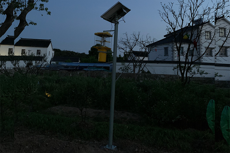大型高桿太陽能殺蟲燈安裝現(xiàn)場圖片