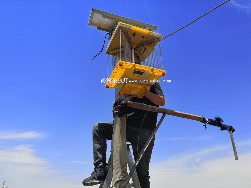河南省果園太陽能殺蟲燈安裝現場效果圖