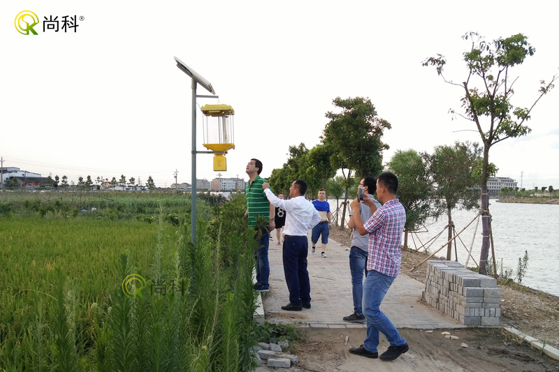 安徽稻田太陽能殺蟲燈效果案例 安徽稻田太陽能殺蟲燈效果案例