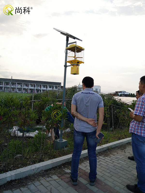 安徽稻田太陽能殺蟲燈效果案例 安徽稻田太陽能殺蟲燈效果案例