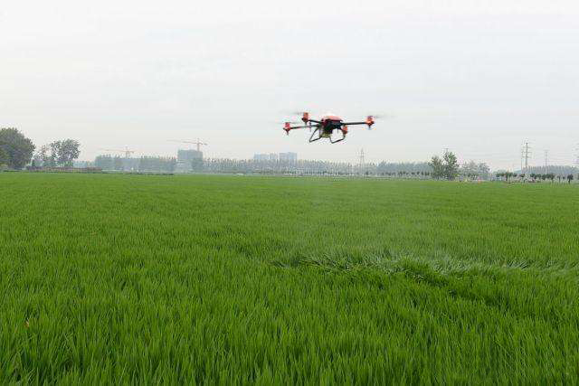 水稻田應(yīng)用無人機(jī)噴灑農(nóng)藥 水稻田應(yīng)用無人機(jī)噴灑農(nóng)藥