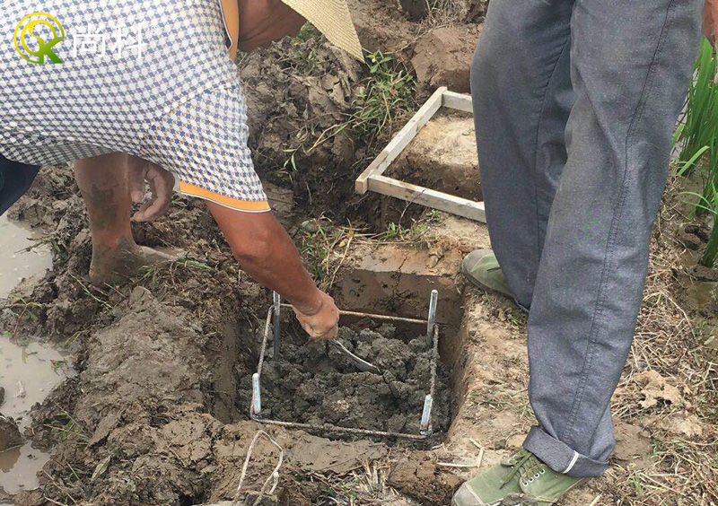 立桿太陽能殺蟲燈地基地籠安裝-放置地籠 立桿太陽能殺蟲燈地基地籠安裝-放置地籠