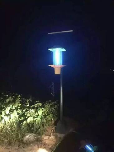 農業扶貧開發太陽能殺蟲燈 農業扶貧開發太陽能殺蟲燈